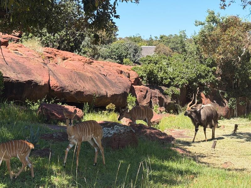 70 Bedroom Property for Sale in Middelburg Eastern Cape